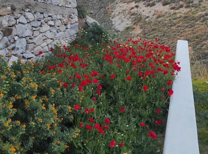 Grελια ηομε Naxos City